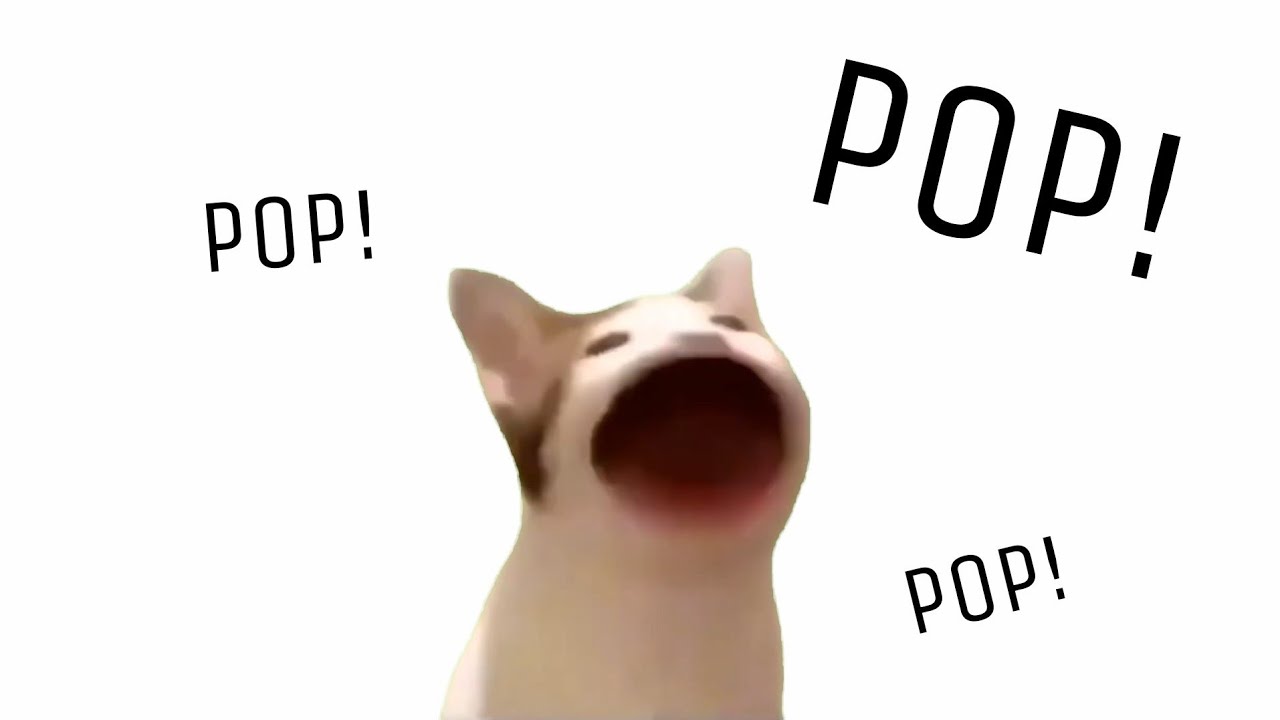 Popcat ( Попкэт )